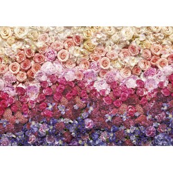 پوستر دیواری طرح طیف گل رز